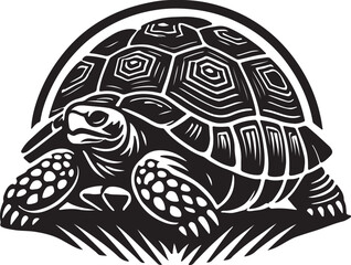 Fototapeta premium turtle vector illustration