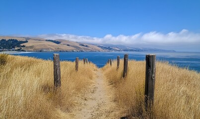 Path Leading to the Ocean Through Tall Grass and Wooden Posts