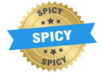 spicy. spicy round blue and gold label isolated on transparent background
