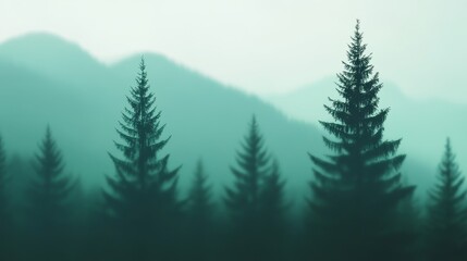 Serene forest landscape with tall evergreen trees against a misty mountain backdrop at dawn