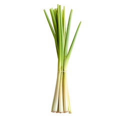 Obraz premium Fresh Green Onions - A Healthy and Delicious Ingredient . Transparent background PNG