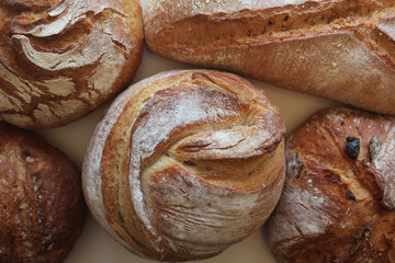 Bread. Assortment of different types of bread on a background. Loaf, bun, baguette, cereal bread. Bakery products