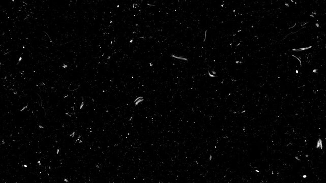 Dust and Noise Overlay Textures Dust and grain texture animated background. Retro vintage film effect on green screen, Dust and grain overlay with scratches