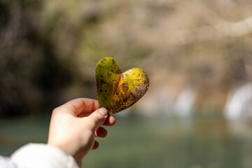 Heart-shaped leaf held in hand near a tranquil riverside in nature during daylight