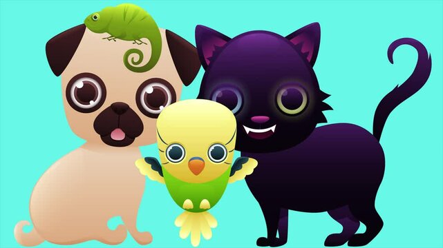 Home pets. Abstract loop animation