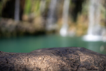 Waterfall cascading gently behind a sunlit log in a tranquil natural setting