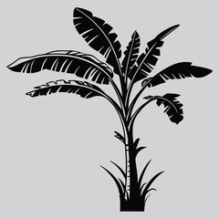 banana tree silhouette vector design art and illustration