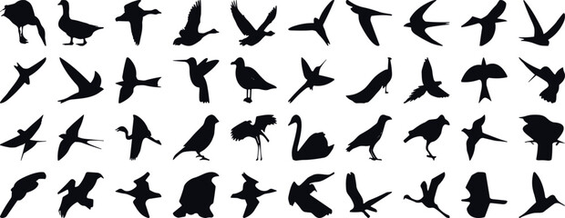 bird silhouette vector illustration, perfect for logo design, art projects, and graphic design. Diverse positions, flying, perching