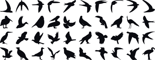 bird silhouette vector illustration, perfect for logo design, art projects, and graphic design. Diverse positions, flying, perching