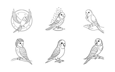 set of vector birds & coloring page