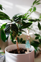 Close up view of a plant with a wooden easter bunny decoration in Spring