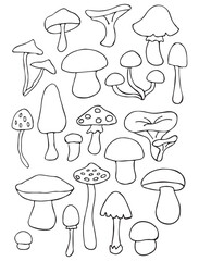 Set of stylizes mushrooms. Summer psychedelic elemenst in 70s and 80s style. Vibrant groovy and funky fungus. Rainbow tattoo stickers. Vintage nostalgia collection. Vector illustration.