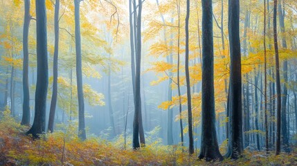 Fototapeta premium Photorealistic forest with soft morning mist, peaceful and calm, high-resolution and artistic nature photography