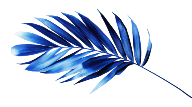 Vibrant blue palm leaf isolated on transparent background