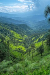 Fototapeta premium Green mountain valley view. Hillside forest landscape with trees and grass. Beautiful nature scene under blue sky with soft clouds.