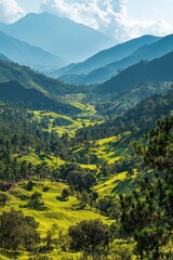 Naklejka premium Green valley in mountain range. Trees and grass in a hilly area under a bright blue sky. Serene natural landscape view.