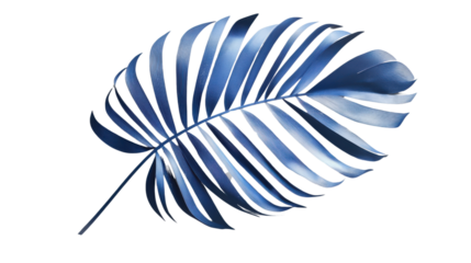 Vibrant blue palm leaf isolated on transparent background