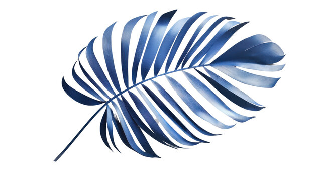 Vibrant blue palm leaf isolated on transparent background