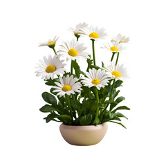 Beautiful White Daisy Plant PNG Cutout on Transparent Backdrop – Perfect for Designs, Art, and Decoration