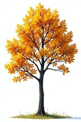 Single branches of trees on a white background, nature, foliage