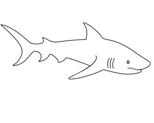 Shark - linear vector template for coloring. Outline. Vector animal - shark fish.	
