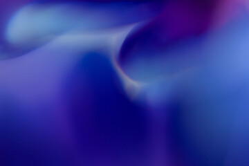 Macro Flower Blossom Background blue purple