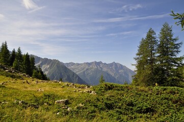 mountain landscape with trees, panorama, view from the top,  tour of the Ecrins and Oisans Massif, hiking, trek, GR54, Alps, France, summer, holidays.