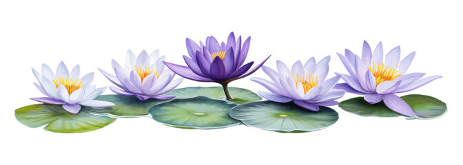 Realistic Digital Illustration of Purple and White Water Lilies on Lily Pads
