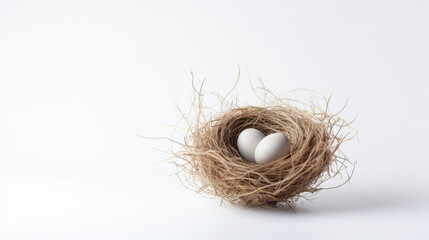Aesthetic still life of eggs in a small branch nest isolated on a white background ideal for branding and advertising visuals