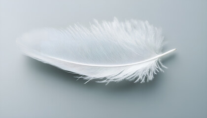 Obraz premium One white feather on a light gray background, close-up