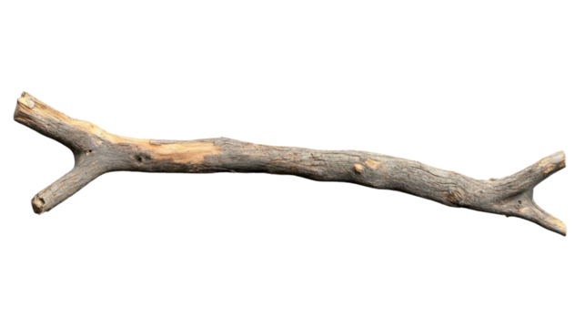 Dry branch with transparent background for easy integration