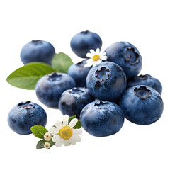 Blueberries with flowers and leaves on a transparent background