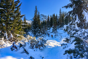 Winter landscape of the Tatra Mountains, Poland