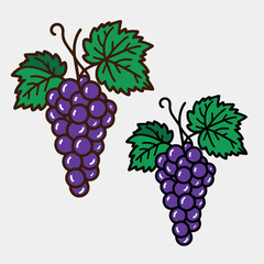 Fototapeta premium Grapevine Design Ornaments