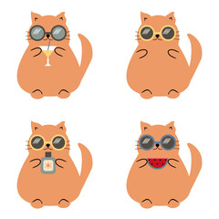 Nice cartoon fat funny cat in summer wearing sunglasses on holidays relax rest cute lovely animal 