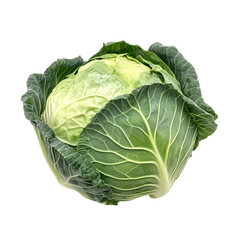 Fototapeta premium Fresh green cabbage on a transparent background showcasing its vibrant color and texture, perfect for culinary uses, Cabbage vegetable food ingridient transparent background
