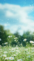 Fototapeta premium Summer rain falling over white daisies blooming in lush meadow, soft blue sky backdrop