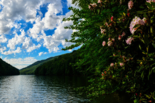 Generated image - Vibrant greenery along a riverbank is accented by pink and white flowers, while fluffy clouds stretch across a blue sky. The landscape includes dense forests and distant hills huggin