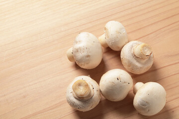 ホワイトマッシュルーム