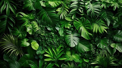 Fototapeta premium Lush green living wall showcasing diverse plant species