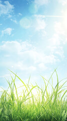 Fototapeta premium Verdant grass blades glistening with morning dew, stretching beneath luminous blue sky dotted with wispy clouds and radiant sunlight