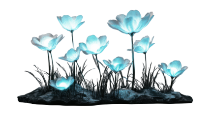 Glowing flowers growing on rock with transparent background