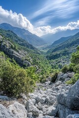 Fototapeta premium A rocky hiking trail in a mountain valley with lush green trees and dense foliage. Perfect for adventurous outdoor enthusiasts.