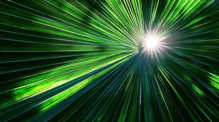 Obraz premium Luminous Green Palm Radiance: A Tropical Sunburst