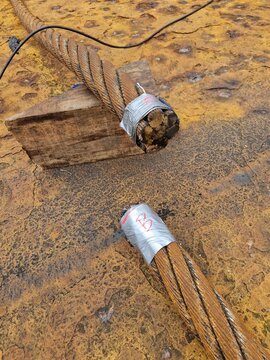 cut wire rope terminal for socketing by resin