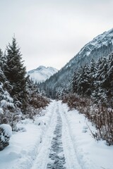 Fototapeta premium Winter hiking path through forest
