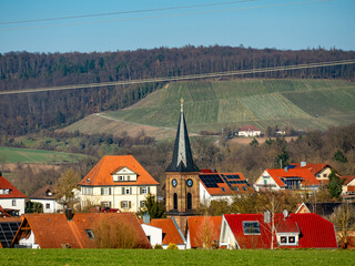 Weinberg Eschberg bei Ölbronn