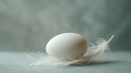 White egg on soft feathers with smoke.