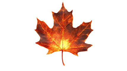 Obraz premium Glowing orange maple leaf on transparent background representing autumn