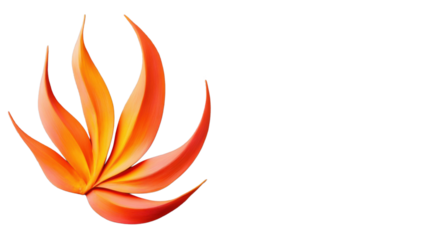 Vibrant orange petals resembling flames on transparent background